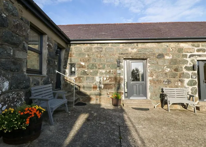 Tyddyn Sianel - Celyn
