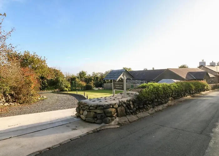 Tyddyn Sianel - Celyn